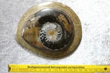 Wunderschöner geschliffener - wunderschöner,