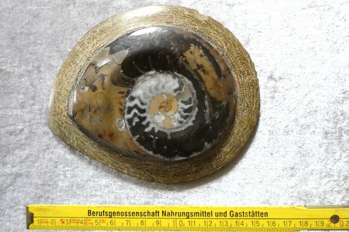Wunderschöner geschliffener - wunderschöner,