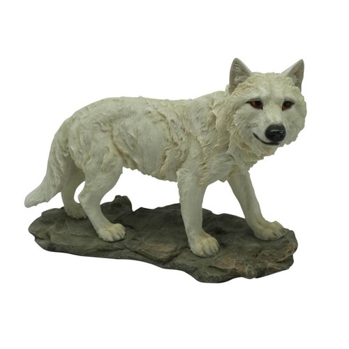Stehender weisser wolf - stehender,