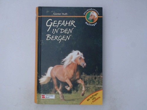 Pferdeabenteuer haflinger - pferdeabenteuer,