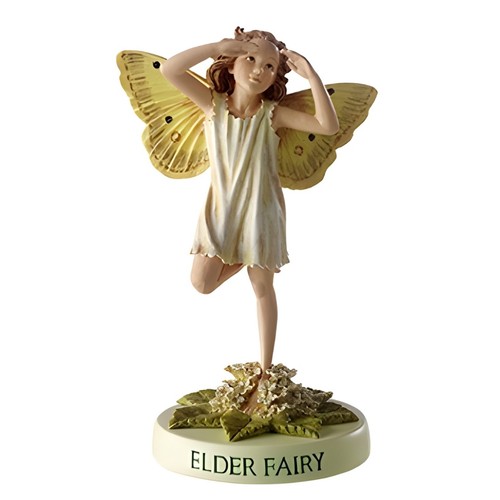 Flower fairy holunderblüte - flower,