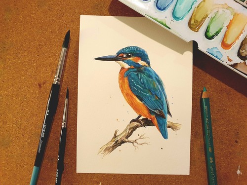 Aquarell eisvogel - aquarell,
