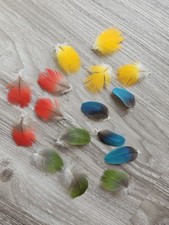 16 bunte ???❤ Vogelfeder Papageienfeder Feder Papagei basteln   