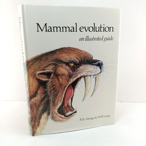 Mammal evolution - evolution, an