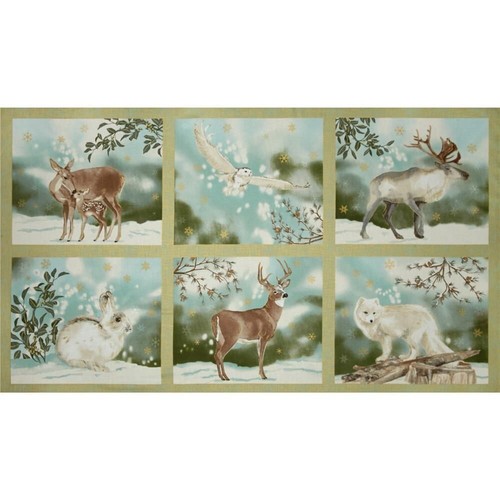 Winter weiße tiere - weiße,