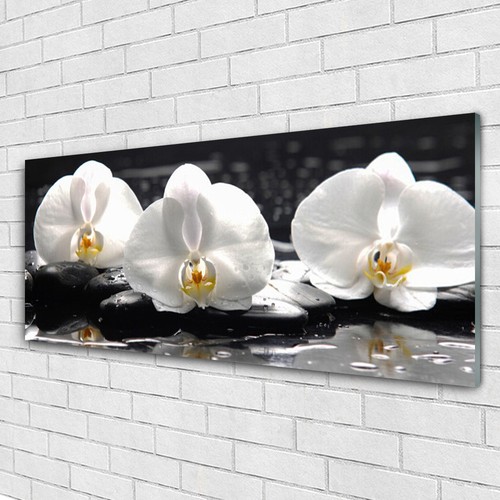 Glasbilder wandbild druck - glasbilder,