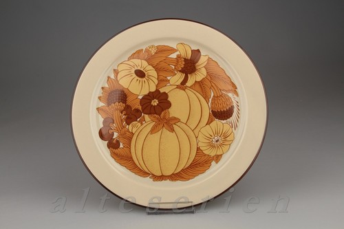Speiseteller rosenthal terra - speiseteller,
