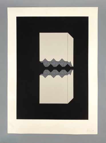 Druckgrafik siebdruck erwin - *druckgrafik,