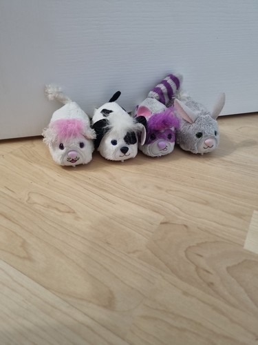 Zhu hamster - hamster, haustiere