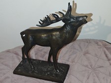 Röhrender Hirsch Massiv