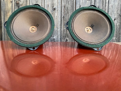 Telefunken field coil speakers