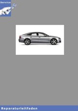 Audi A5 8T (07>) 6-Zyl. TDI  2,7l und 3,0l 4V Einspritz- und Vorglühanlage