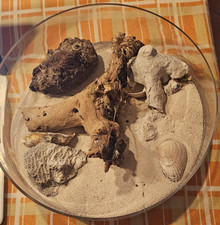 wunderschöne grosse Glas