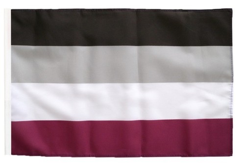 Asexuell banner fahnen - asexuell,
