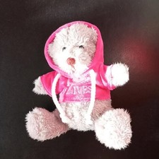 Teddybär mit Hoodie-Pulli und