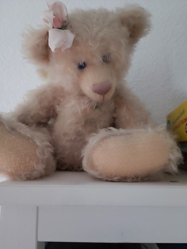 Teddy von firma martin - teddy,