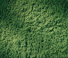 76666 Auhagen - Rollrasen hellgrün, 15 x 25 cm - Neuware