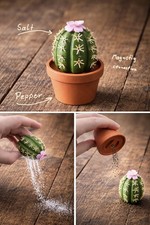 Kaktus Salz und Pfeffer