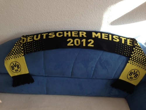 Bvb borussia dortmund fan - bvb,