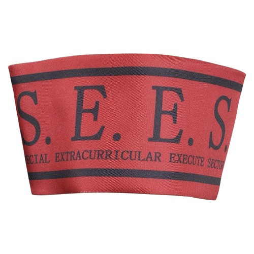 S persona cosplay - s.e.e.s,