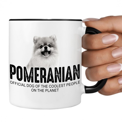 Pomeranian pom zwergspitz - pomeranian,
