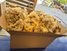 4 kg - Bio -Schafwolle