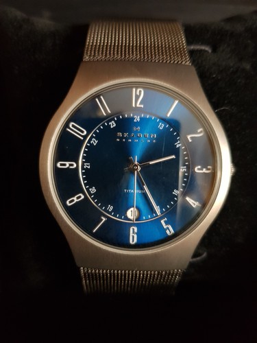 Skagen denmark titanium - skagen,