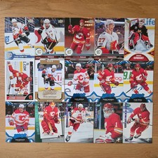 Trading Card Lot Sammelkarten