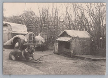 Wachhund Schäferhund an Kette