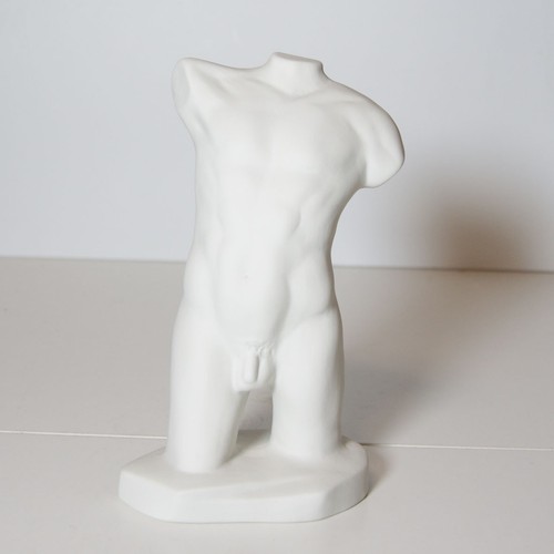 Männlicher torso prachtkerl - torso,
