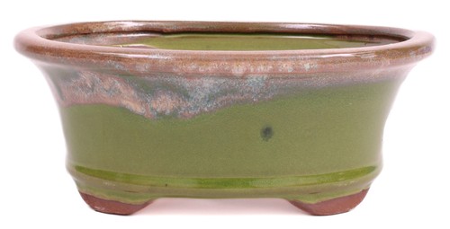 Bonsai schale oval 17 - ×, ×