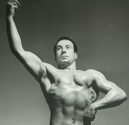 Male bodybuilder muscle - male,