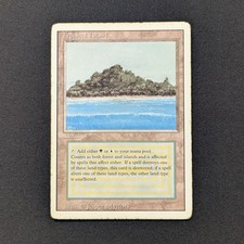 MTG \>> Tropical Island (PL)