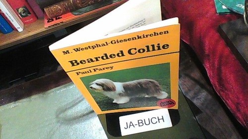 Bearded collie praktische - bearded,