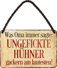 Blechschild Lustiger Spruch