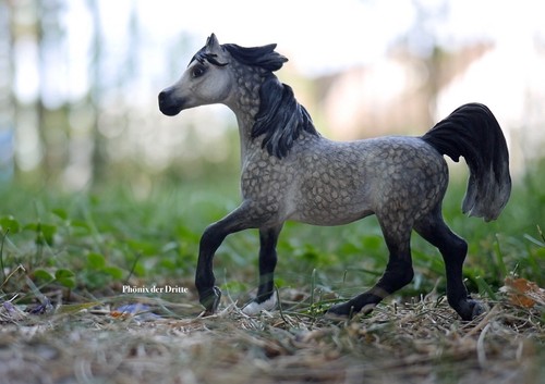Schleich extremcust araber - extremcust,