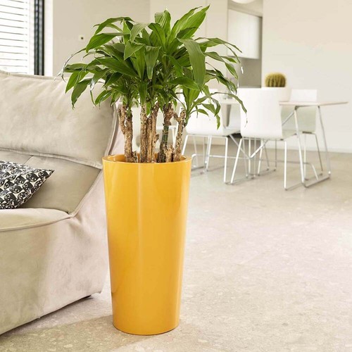 Xxl blumentopf größen und - blumentopf, 2