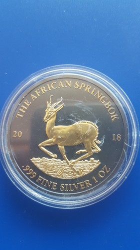 African springbok 2018 silver - springbok,