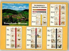 38134832 - 7816 Muenstertal Bienenkunde-Museum Die Arbeitsteilung im Lebenslauf