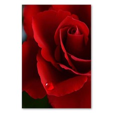 Postereck 3416 Poster Leinwand