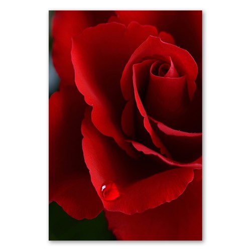 Postereck 3416 poster - 3416,