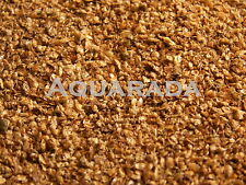 Wasserflöhe Daphnien