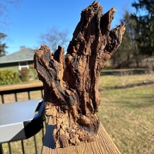 Dark Brown Driftwood 10x3x6 |