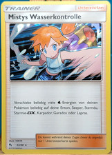 POKEMON - Verborgenes