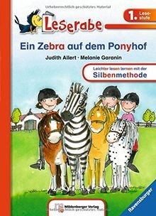 Ein zebra auf - dem, ponyhof