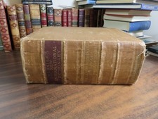 Webster's New International