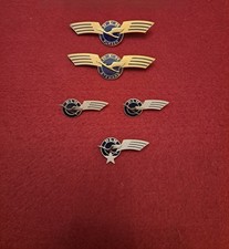 Lufthansa Crew Anstecknadeln