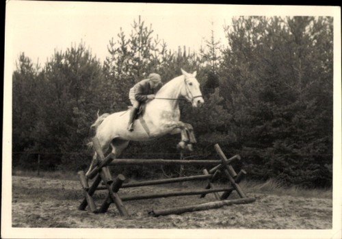 Foto pferdesport - foto,