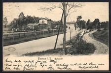 Ansichtskarte Remse / Mulde, Blick auf den Bahnhof 