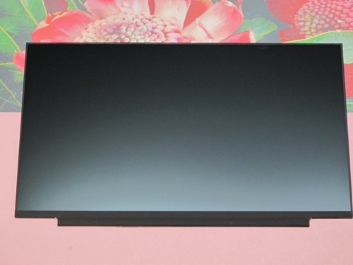 Original display medion erazer - original,